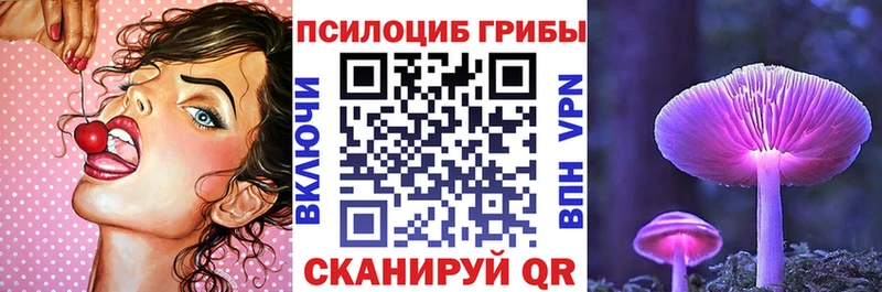 Псилоцибиновые грибы GOLDEN TEACHER  цены   мега как войти  Суровикино 